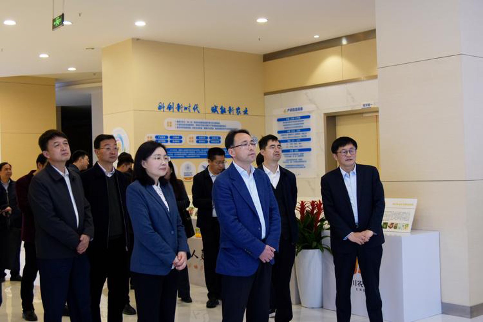 掌丽通网络科技