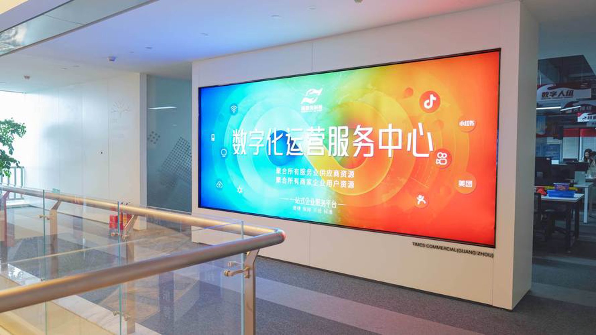 掌丽通网络科技